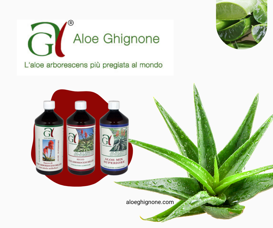 Integratori naturali a base di aloe: biologico sì o no?